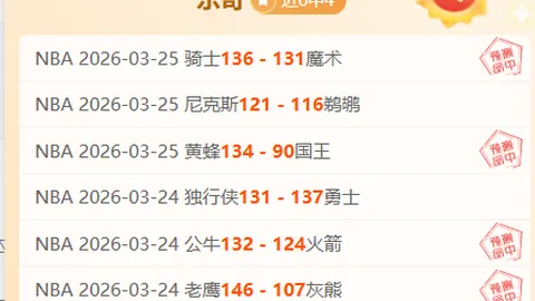篮球赛事分析：热火黄蜂对决详析，专家策略解读